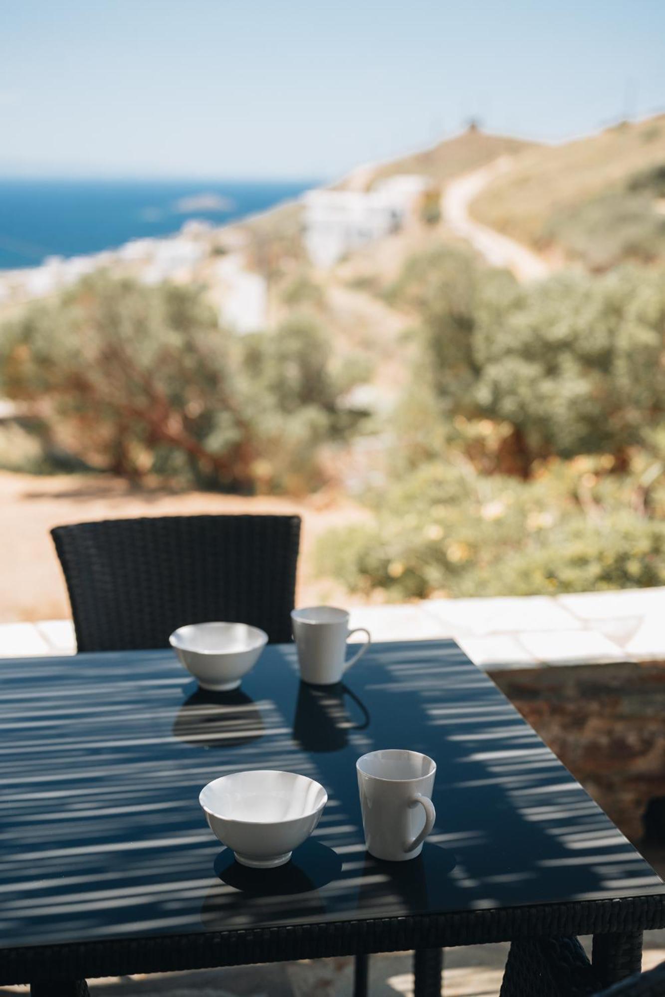 Il Paradiso Andros Willa Gavrio